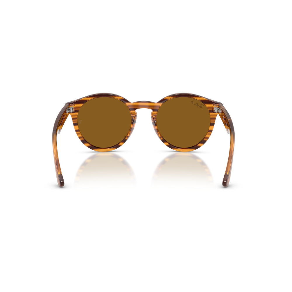 Ray-Ban 2180 Reverse (Striped Havana)